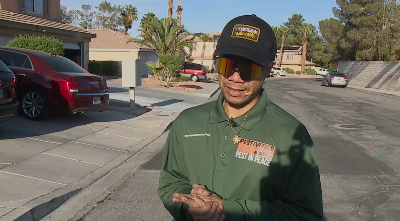 Grasshoppers arrive early in Las Vegas, warning of scorpion increase