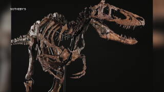 preshistoric skeleton.jpg