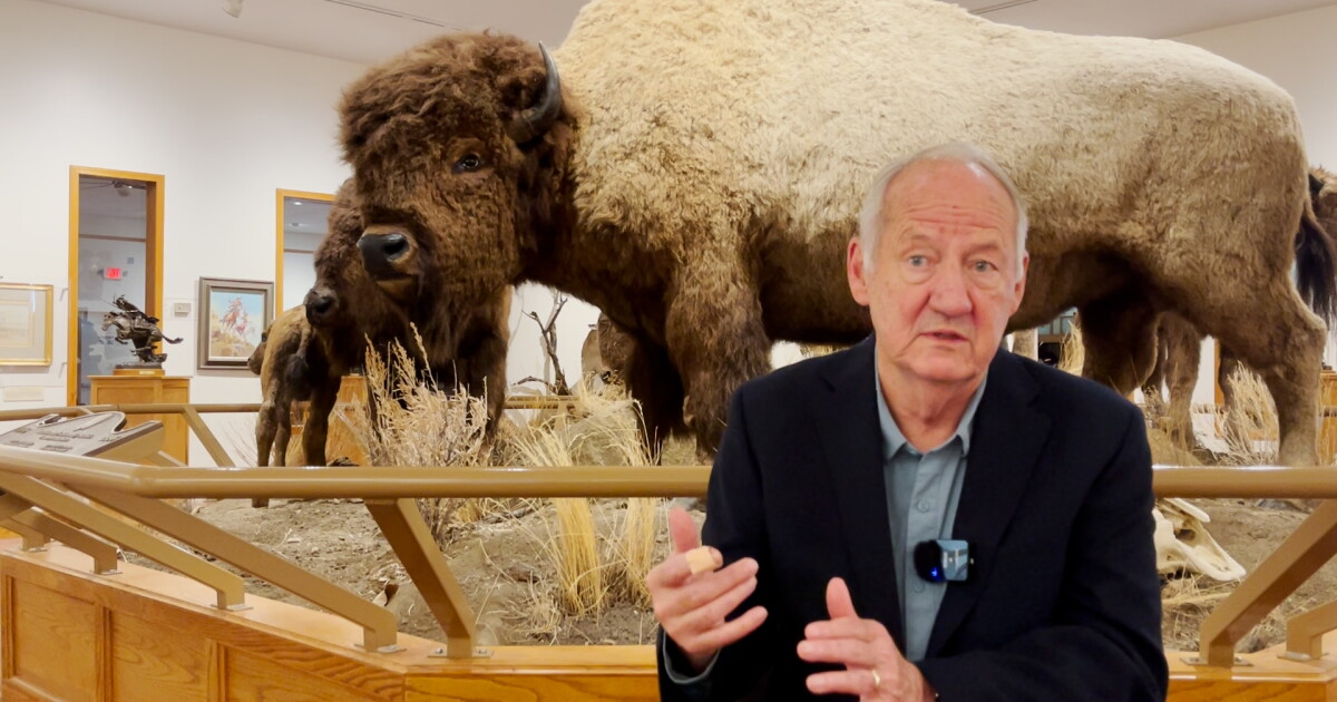 Crowd gets sneak peek at "The American Buffalo" in Fort Benton - Vimarsana News