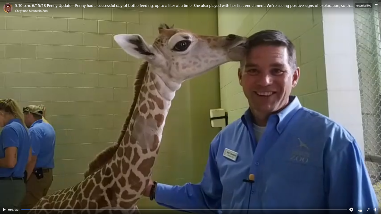 Bob Chastain poses with Penny the Giraffe