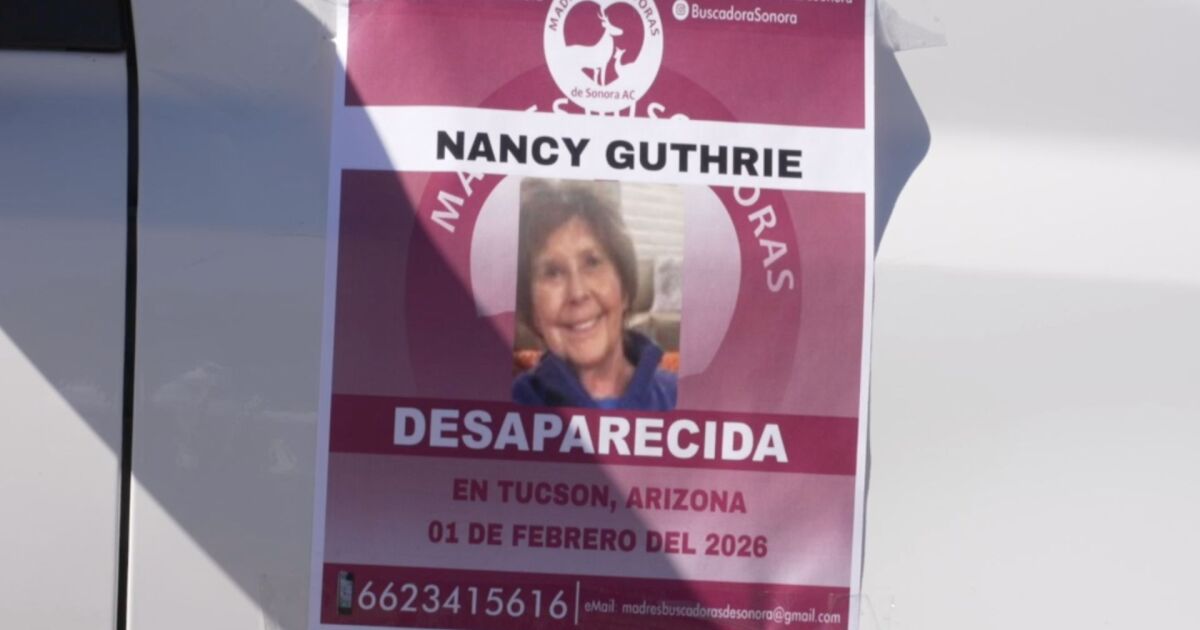 Moms' volunteer group from Mexico joins search for Nancy Guthrie