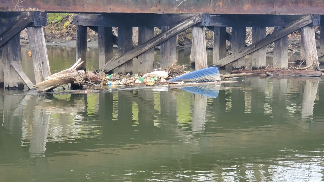 River Trash.jpg