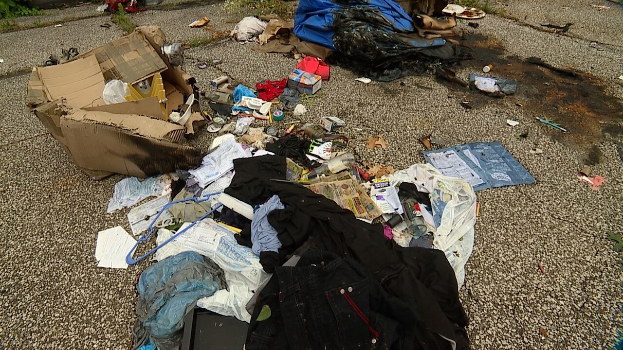 old brooklyn dumping 3.jpg