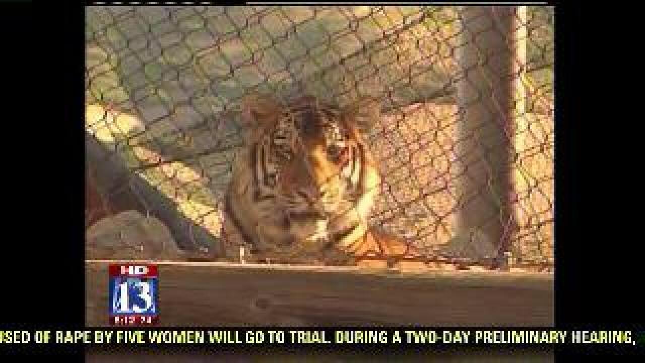 Rendezvous event to benefit Hogle Zoo