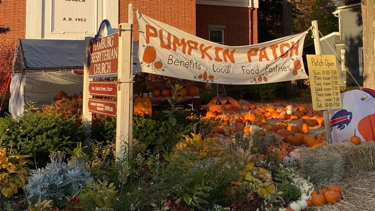 Hamburg Presbyterian pumpkin patch put on pause