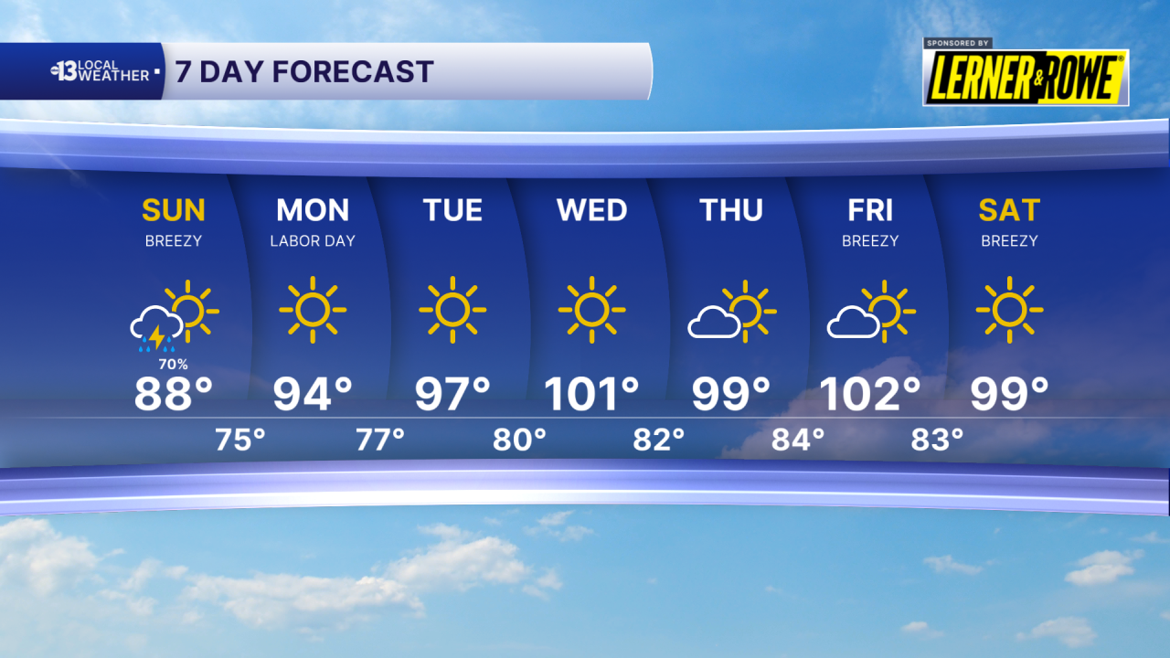 7 day forecast