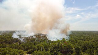 Indian River County brush fire