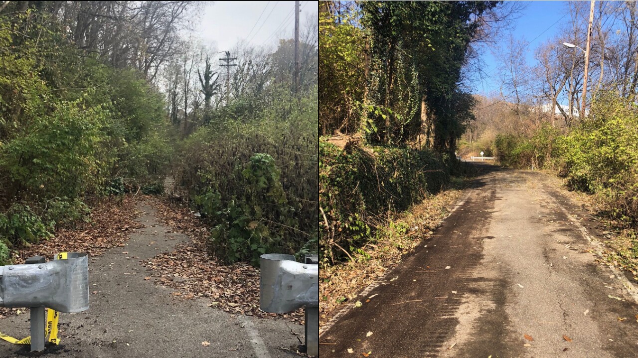 maryland_before_after (1).jpg