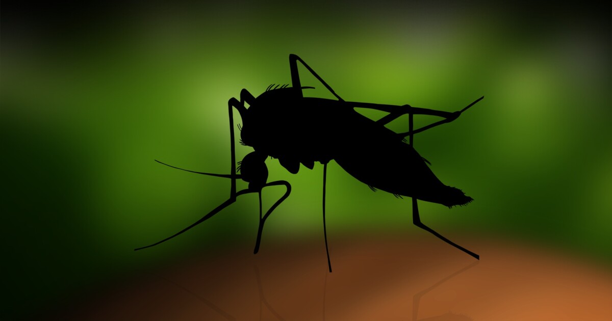 Maricopa County officials confirm first West Nile death of the year