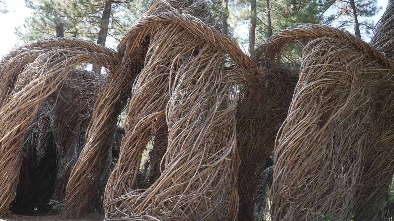 sculpture in the wild