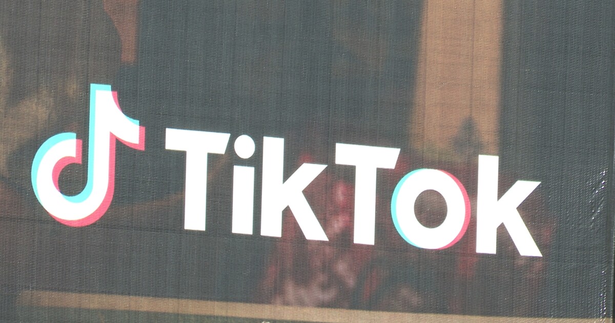 Wyoming investor hopes to buy TikTok for billion before April deadline Wyoming investor hopes to buy TikTok for billion before April deadline