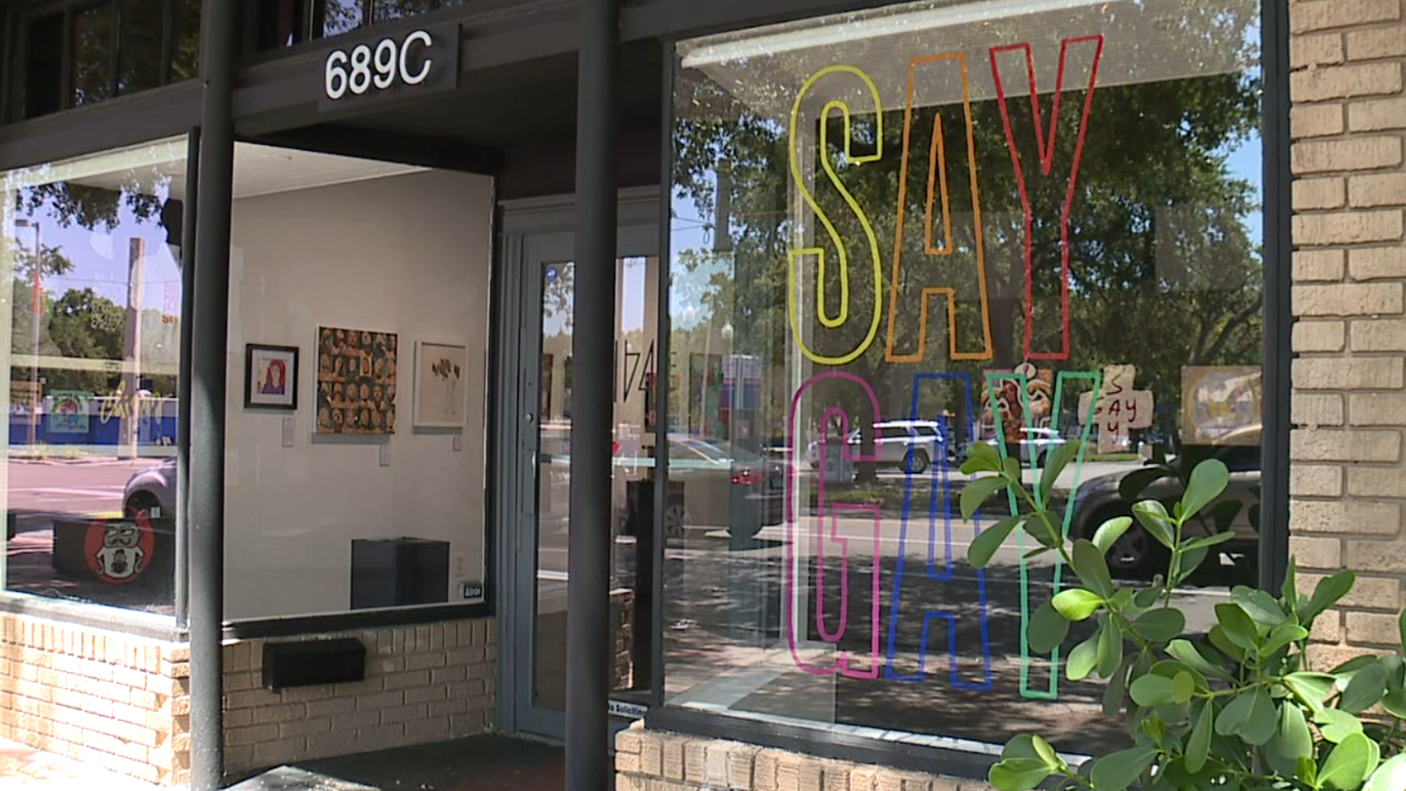 Say Gay exhibit WFTS JOCELYN.png