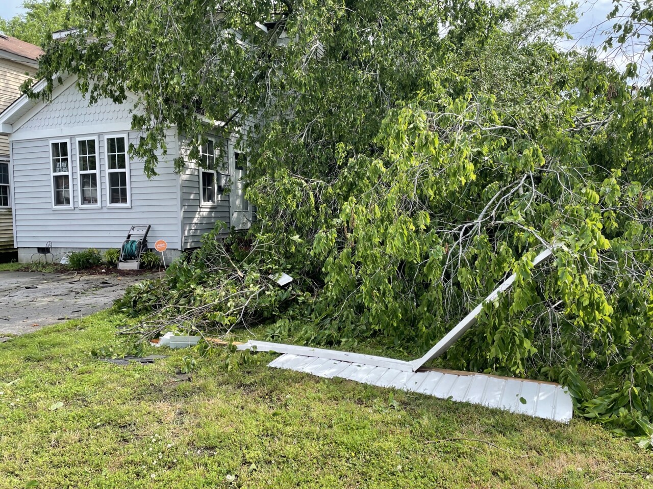 NF 1400 Manson Road tree down (May 16) 