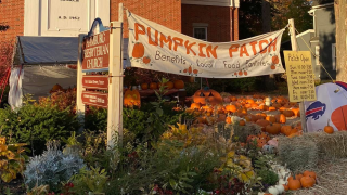 Hamburg Presbyterian pumpkin patch put on pause