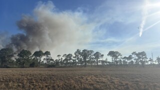 Dover Terrace brush fire