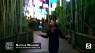 Music City Must: Zoolumination