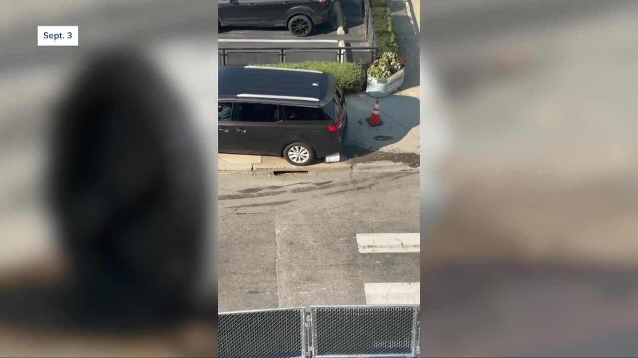 Beekeeper reacts after driver seen running over bees in Scott’s Addition