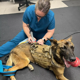 Dozer receiving treatment after accident