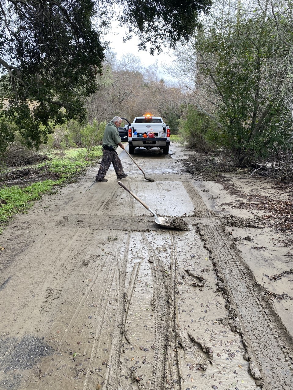 Bob Jones Avila trail.jpg