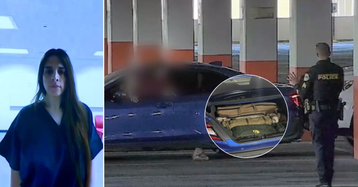 Woman arrested with 22 firearms claims she was being 'doxxed,' denies mass shooting threats