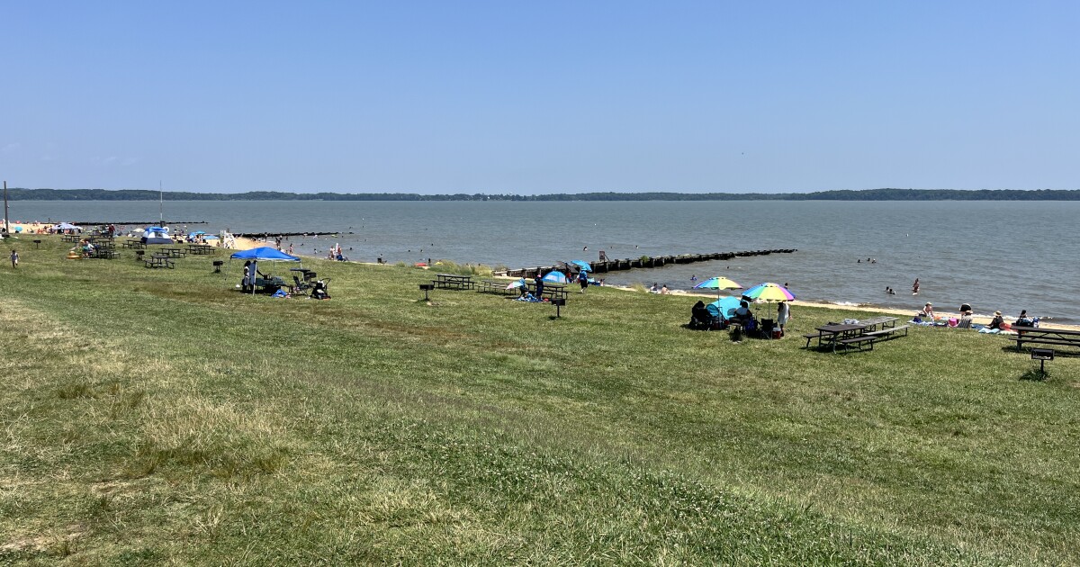 Hammerman Beach draws families and World Cup visitors looking to beat the heat Jeff Morgan