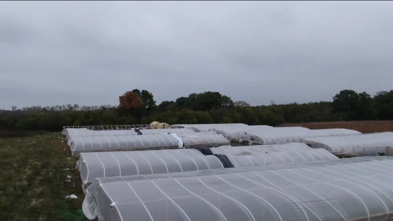 Poster image - 2021-10-06T221054.539.jpg