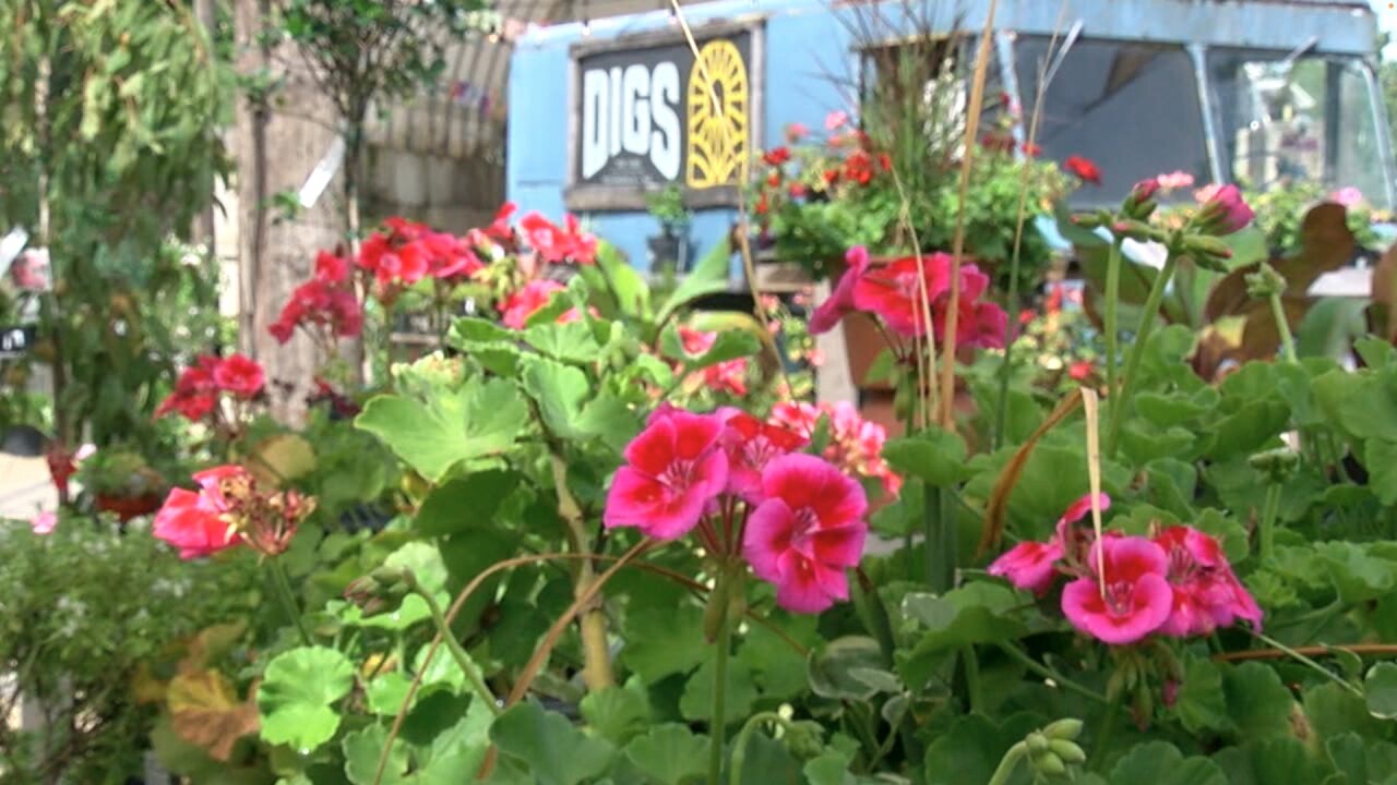 Screen Shot 2024-08-21 at 2.25.37 PM.jpg