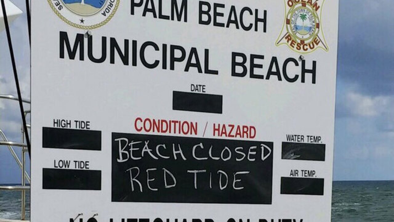 Beaches closed in Martin and Palm Beach counties