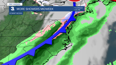 Surface Map (11).png