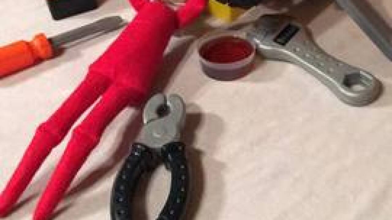 2016 Elf on the Shelf Photos & Ideas