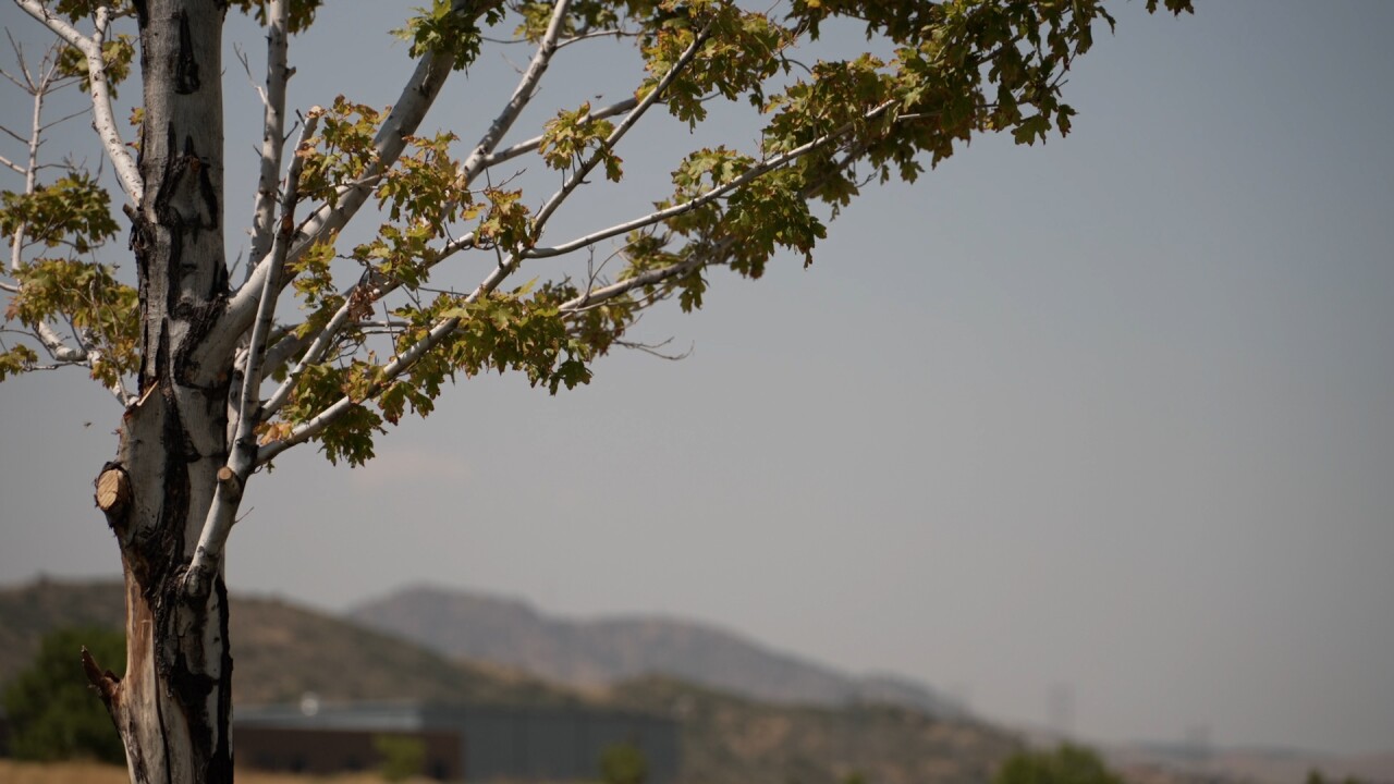 smoke filled skies.jpg