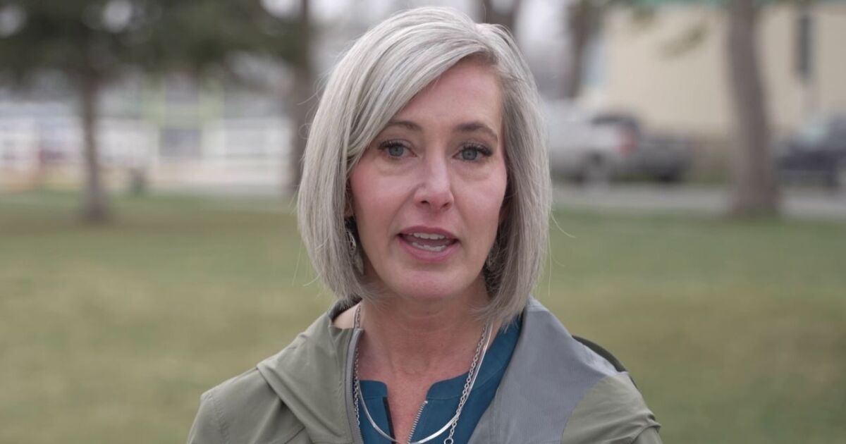 Melissa Romano chosen to lead Montana public employees union
