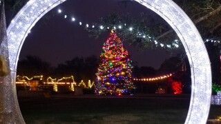 Big Tree, Ornament Frame