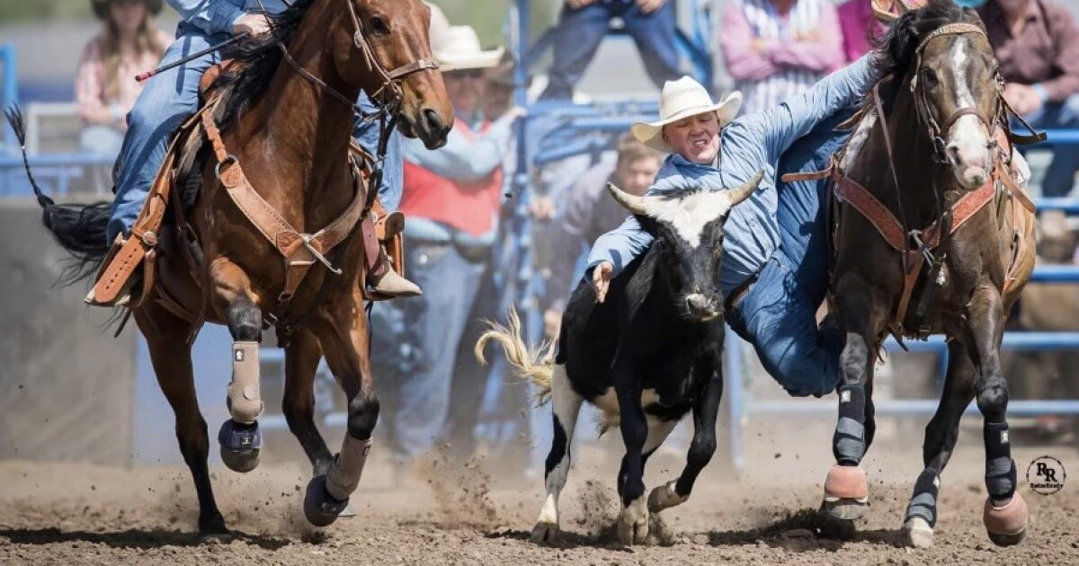 Montana High School Rodeo Association standings — May 28