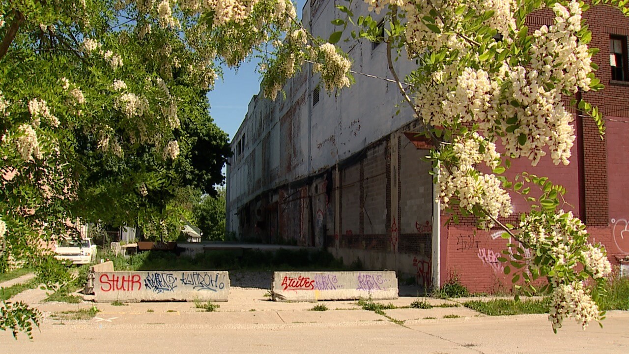 brownfield property 3.jpg