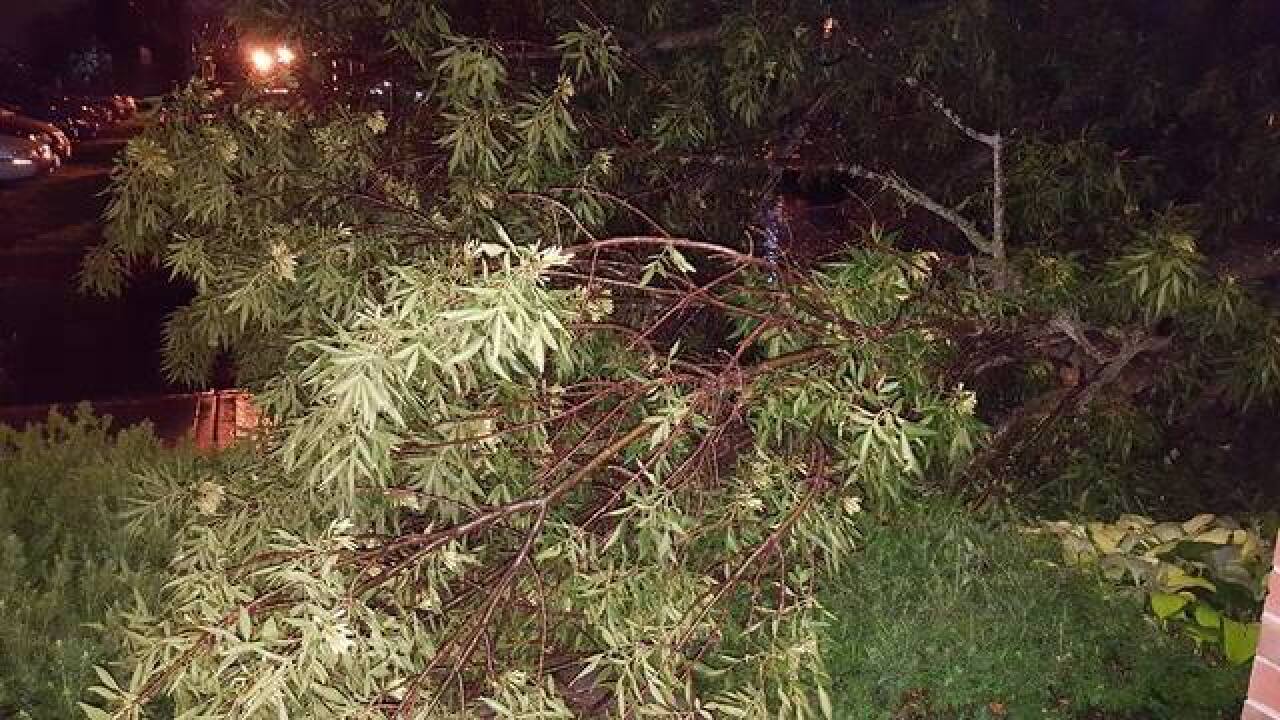PHOTOS: Strong storms damage houses in KC metro
