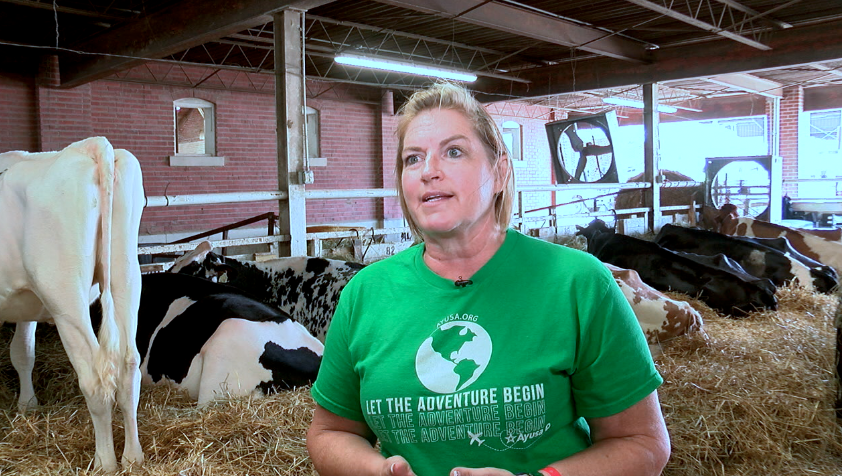 Screenshot 2024-09-02 at 3.31.41 PM.png