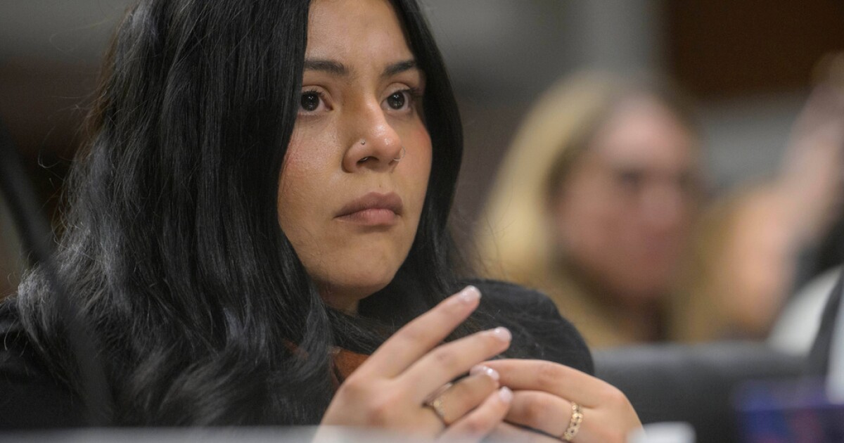 US citizens detail claims of abuse by federal immigration officers 