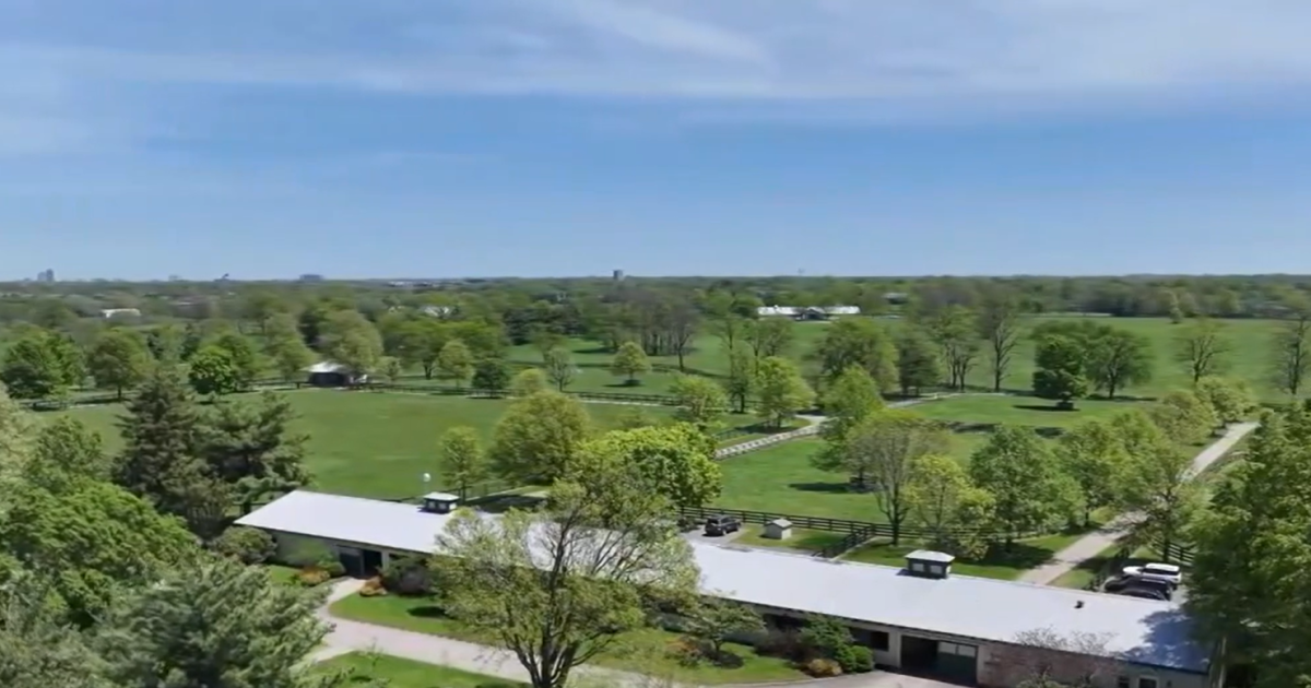 Mill Ridge Farm breeds champions and creates connections