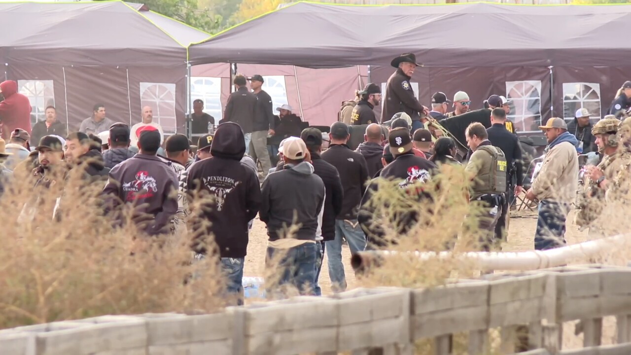 WILDER HORSE RACETRACK RAID