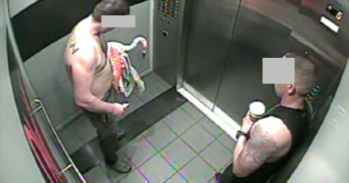 Canadian man arrested for injuring acclaimed flamingos at Las Vegas hotel