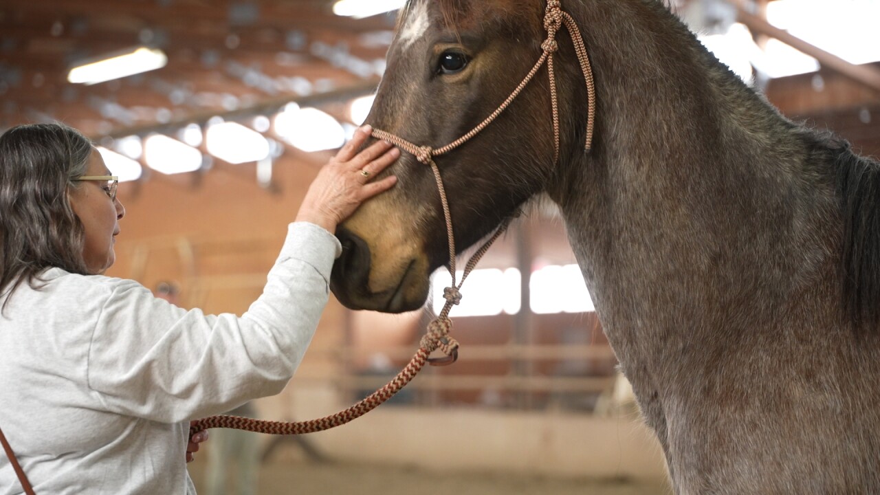 'The horse is a gift': Equine therapy class teaches healing through connection in Huntley