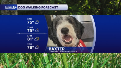 Baxter