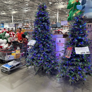 Biz Retail Sales Christmas