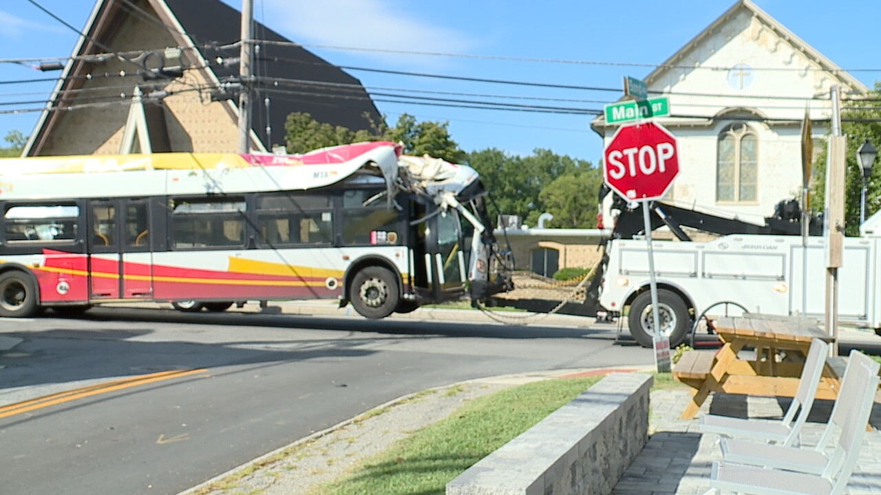 TreeOnBus Pic2.jpg