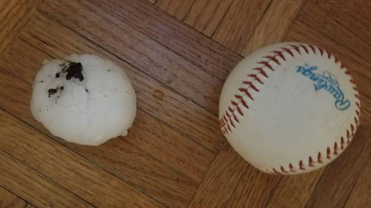 Ariel Jackson security hail fixed.jpg