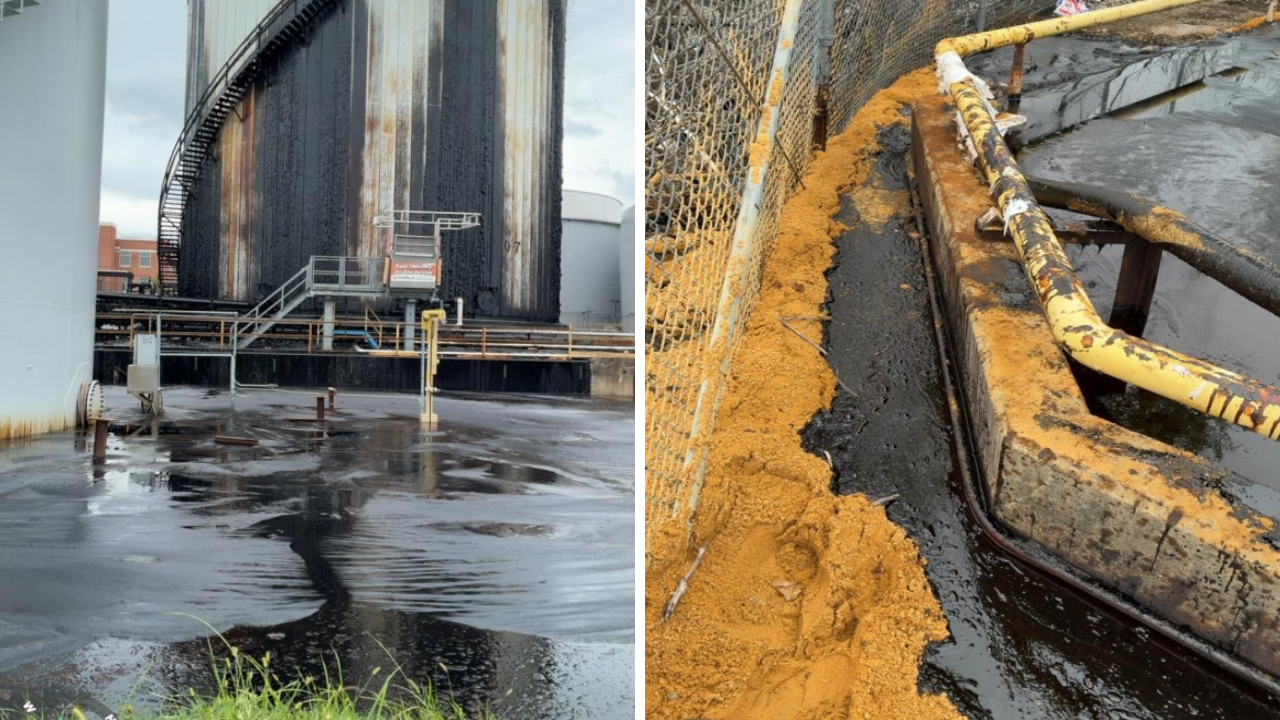 HARBOR MOLASSES SPILL