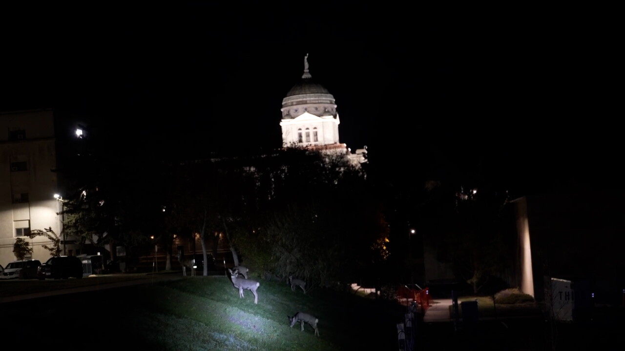 Helena deer capitol