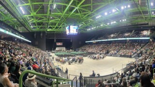 CCISD Graduation