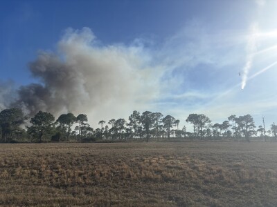 Dover Terrace brush fire